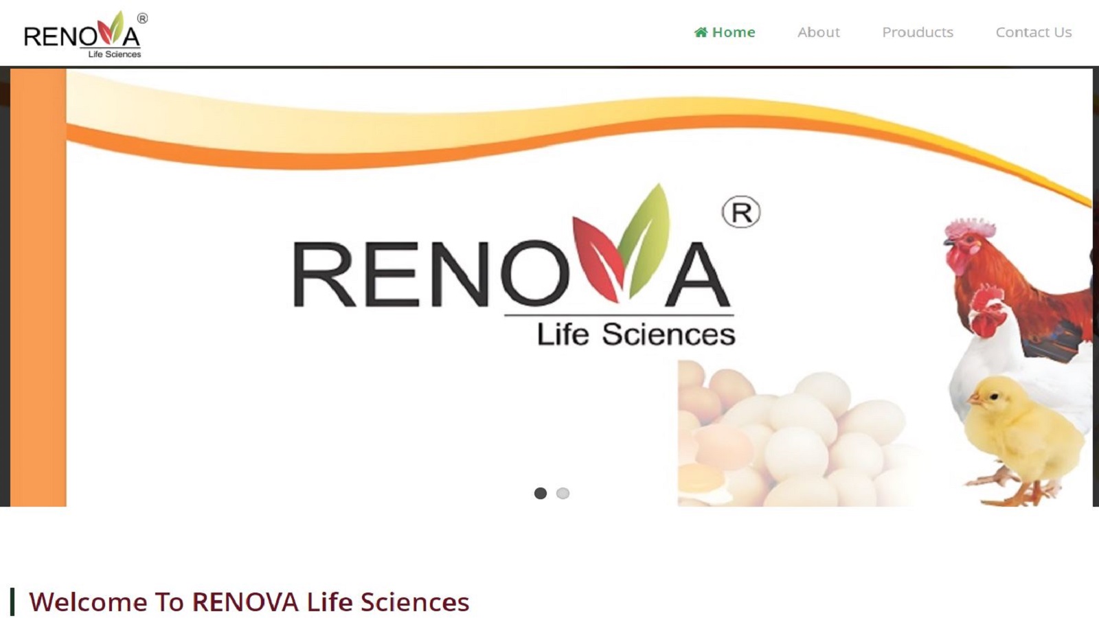 portfolio image
